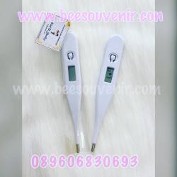 Thermometer Standar
